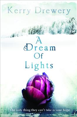 Book cover for A Dream of Lights