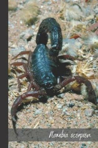 Cover of namibia scorpion