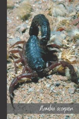 Book cover for namibia scorpion