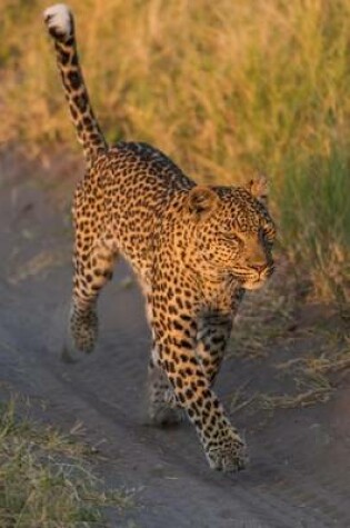 Cover of A Leopard Walking Down a Path Journal