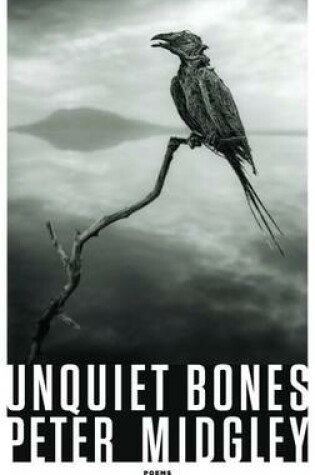 Cover of Unquiet Bones