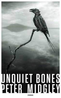 Book cover for Unquiet Bones