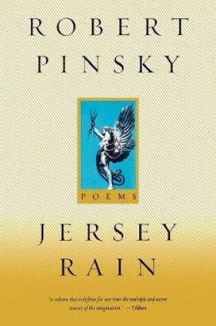 Cover of Jersey Rain