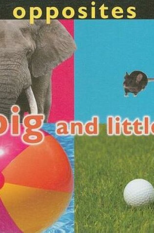 Cover of Opposites: Big and Little