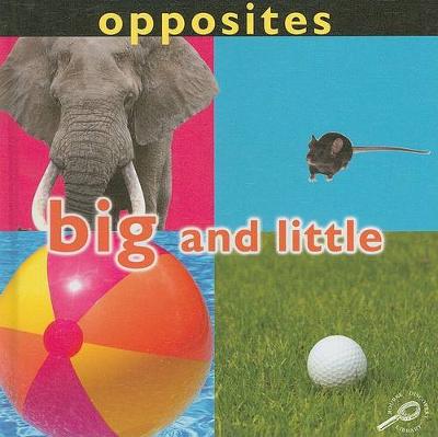 Book cover for Opposites: Big and Little