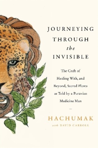 Cover of Journeying Through the Invisible