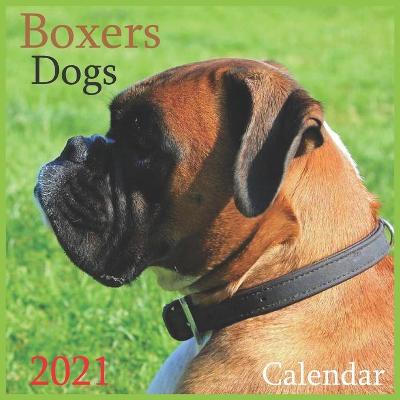 Book cover for Boxers Dogs