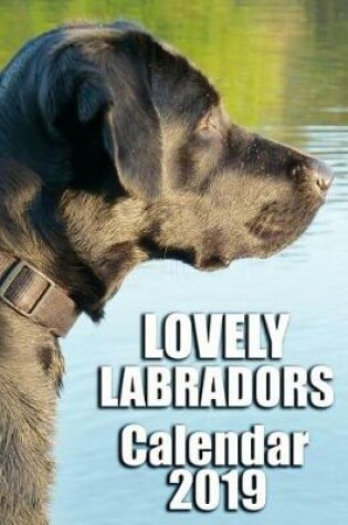 Cover of Lovely Labradors Calendar 2019