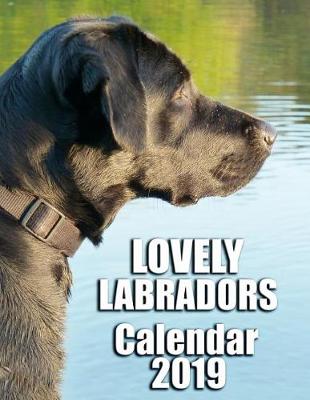 Book cover for Lovely Labradors Calendar 2019