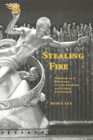 Cover of Stealing Fire