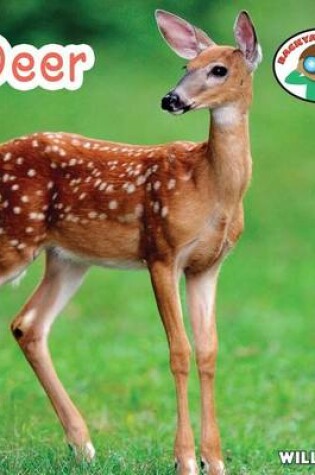 Cover of Deer