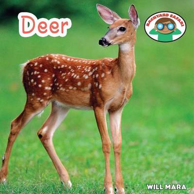 Cover of Deer