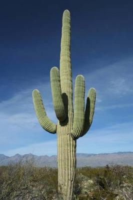 Book cover for The Saguaro Cactus Journal