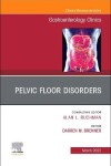 Book cover for Pelvic Floor Disorders, An Issue of Gastroenterology Clinics of North America
