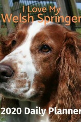 Cover of I Love My Welsh Springer