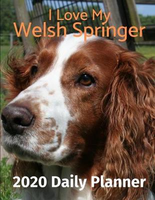 Cover of I Love My Welsh Springer