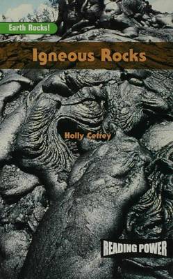 Book cover for Igneous Rocks