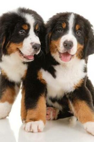 Cover of Burmese Mountain Dog Puppies (for the Love of Dogs)