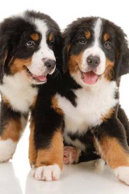 Book cover for Burmese Mountain Dog Puppies (for the Love of Dogs)