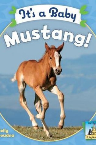Cover of It's a Baby Mustang
