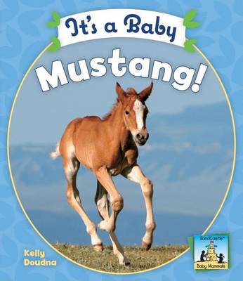 Book cover for It's a Baby Mustang