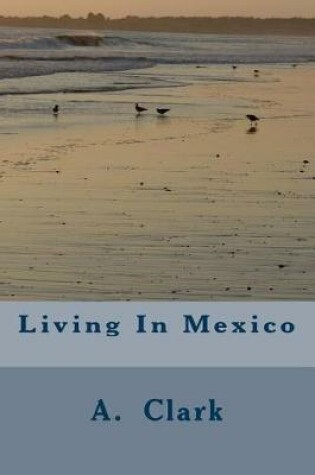 Cover of Living In Mexico