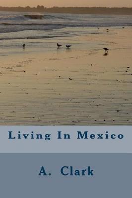 Book cover for Living In Mexico