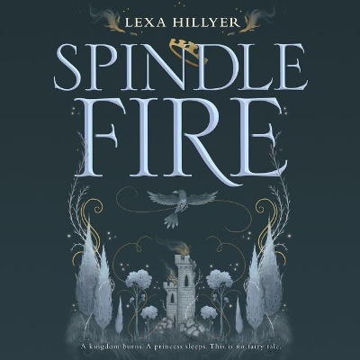 Book cover for Spindle Fire