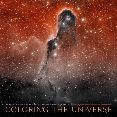 Book cover for Coloring the Universe