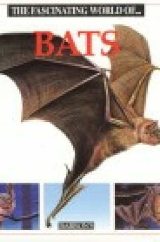 Cover of The Fascinating World of-- Bats