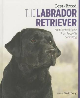 Cover of Labrador Retriever Best of Breed