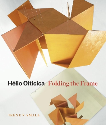 Book cover for Hélio Oiticica