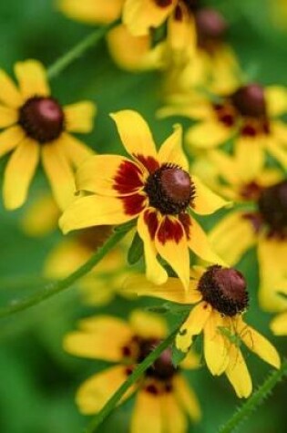 Cover of Yellow Coneflower Journal (Ratbida Pinnata)