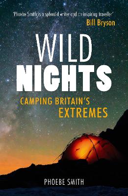 Book cover for Wild Nights