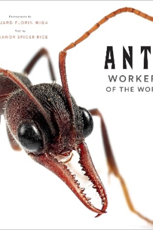 Cover of Ants: Workers of the World