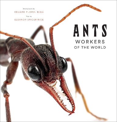 Book cover for Ants: Workers of the World