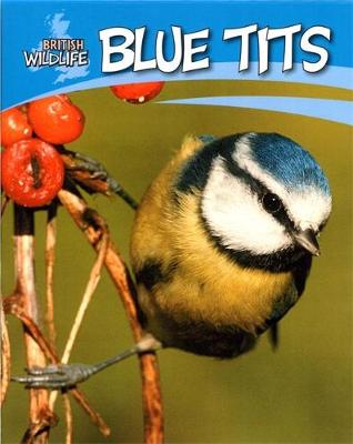 Book cover for Blue Tits