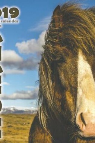 Cover of Horses 2019 Mini Wall Calendar (UK Edition)