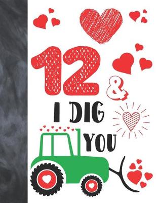 Book cover for 12 & I Dig You