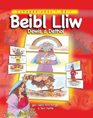 Book cover for Beibl Lliw Dewis a Dethol