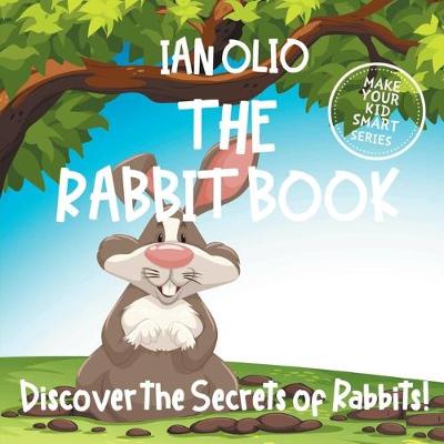 Book cover for The Rabbit Book