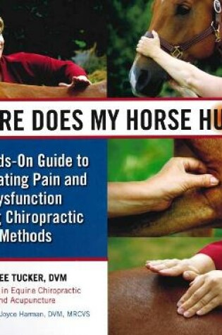 Cover of Where Does My Horse Hurt?