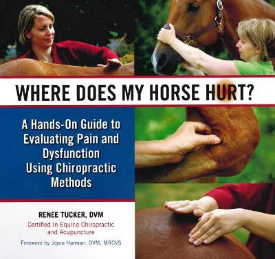 Book cover for Where Does My Horse Hurt?