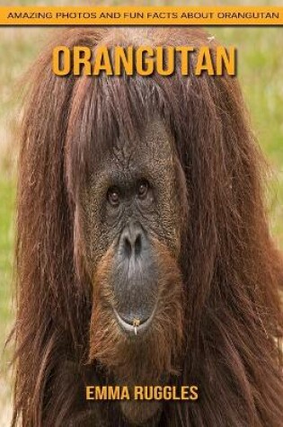 Cover of Orangutan