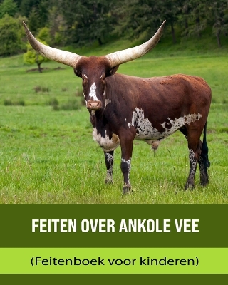 Book cover for Feiten over Ankole vee (Feitenboek voor kinderen)