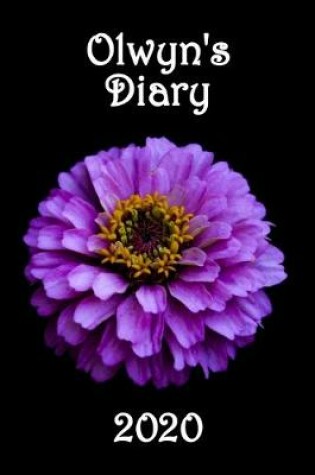 Cover of Olwyn's Diary