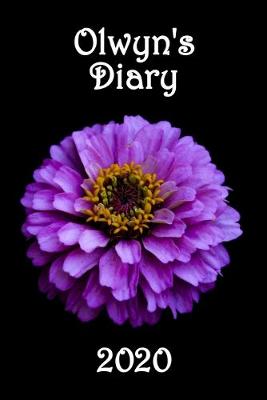 Book cover for Olwyn's Diary