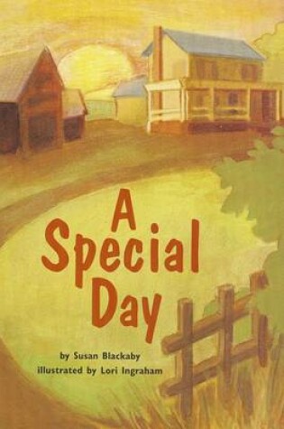 Cover of A Special Day