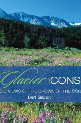 Cover of Glacier Icons