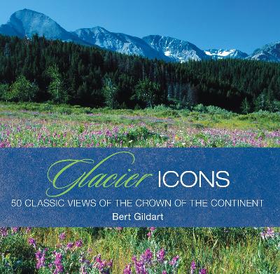 Book cover for Glacier Icons